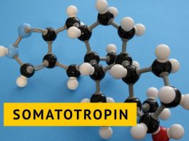 Гормон роста: эликсир молодости, строитель тела и страж здоровья Гормон роста