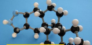 Гормон роста