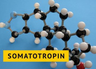 Гормон роста