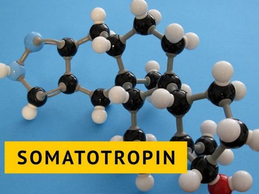 Гормон роста