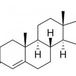 Анаболические стероиды в медицине и спорте